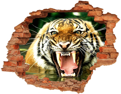 Fototapeta diera na stenu Revúci tiger
