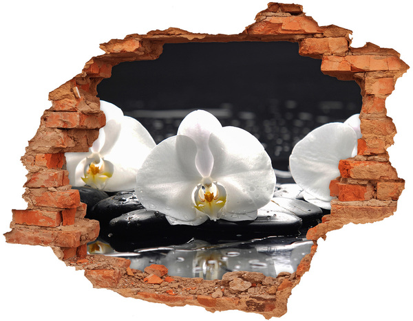 Diera 3D fototapeta Orchidea