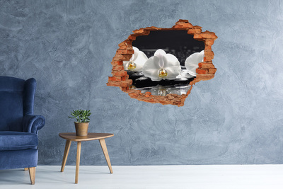 Diera 3D fototapeta Kvet orchidey na vode