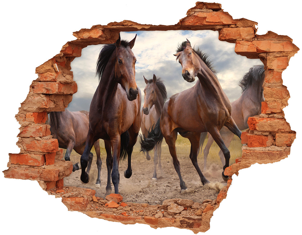 Diera 3D fototapeta na stenu Päť koní