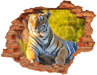 Diera 3D v stene nálepka Portrét tigra
