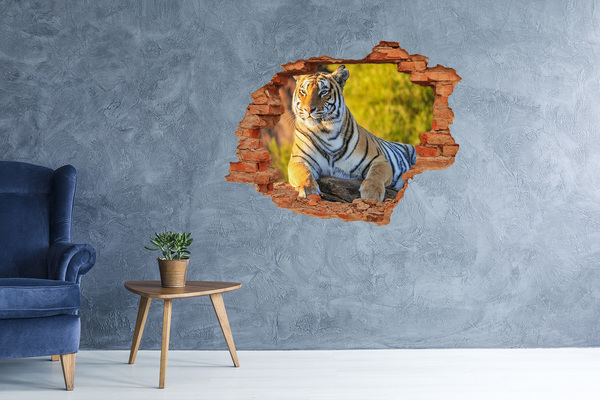 Diera 3D v stene nálepka Portrét tigra