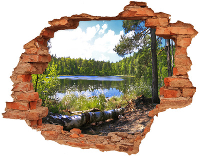 Fototapeta diera na stenu 3D Lesné panorama