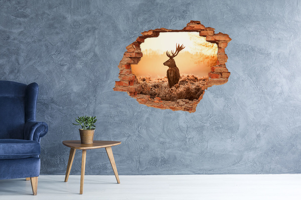Foto fotografie diera na stenu Jeleň sunrise