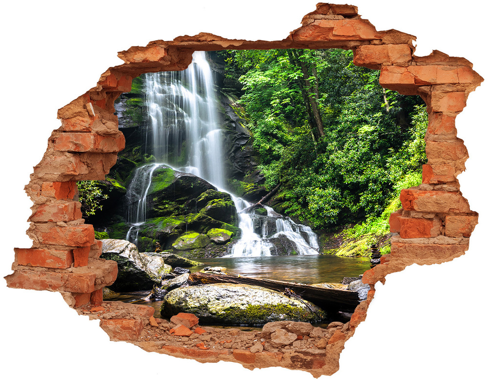 Foto fotografie diera na stenu Vodopád v lese
