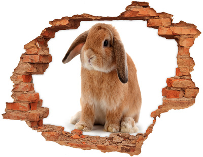 Fototapeta diera na stenu Rudy králik