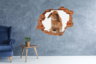 Fototapeta diera na stenu Rudy králik