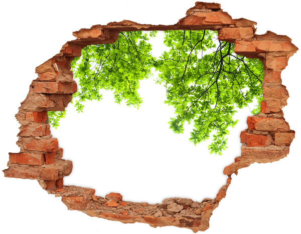 Fototapeta diera na stenu 3D Zelená oáza za múrom