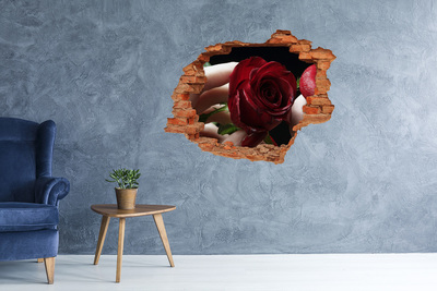Fototapeta diera na stenu Žena s ruží
