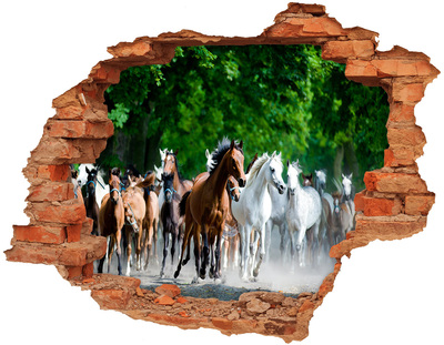 Fototapeta nálepka na stenu Cválajúca kone