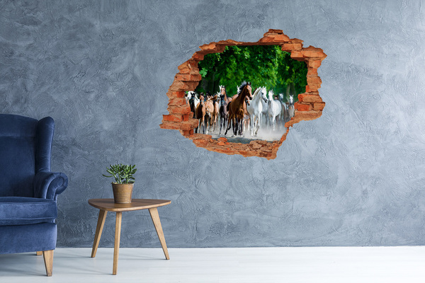 Fototapeta nálepka na stenu Cválajúca kone