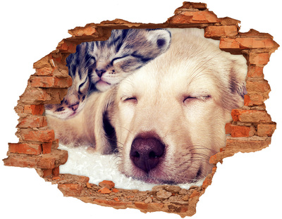 Fototapeta diera na stenu Šteňa a mačky