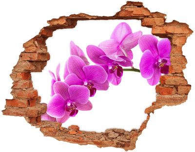 Fototapeta diera na stenu 3D Orchidey cez dieru v stene
