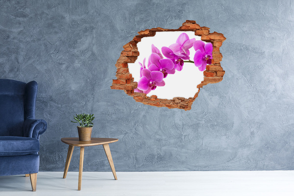 Fototapeta diera na stenu 3D Orchidey cez dieru v stene