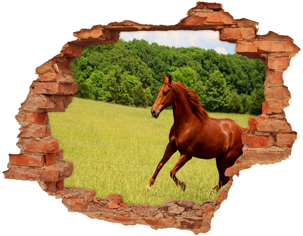 Diera 3D fototapeta na stenu Kôň na lúke