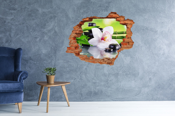 Fototapeta diera na stenu 3D Orchidea