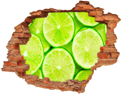 Fototapeta diera na stenu 3D Limes