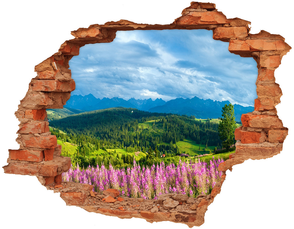Fotoobraz diera na stenu Lavender v horách