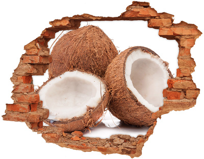 Fototapeta diera na stenu 3D Kokosové poklady