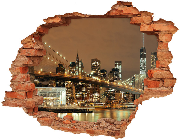 Diera 3D fototapeta nálepka Panoráma New Yorku v noci