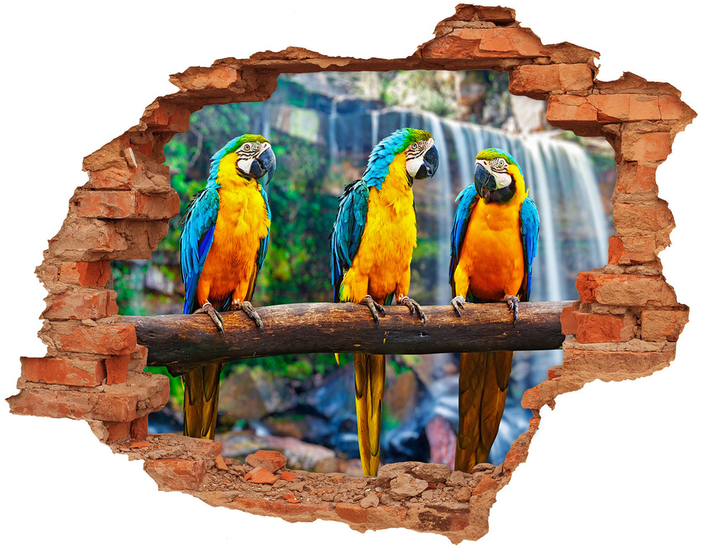 Samolepiaca diera na stenu Papagáje na vetve