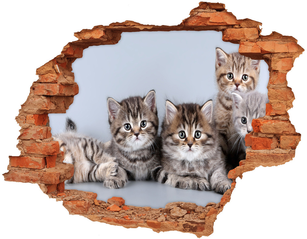 Nálepka 3D diera na stenu Päť mačiek