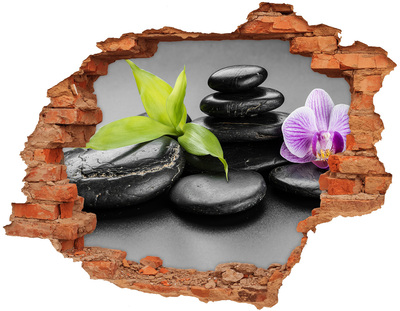 Foto fotografie diera na stenu Relaxačný výhľad s kameňmi a rastlinami