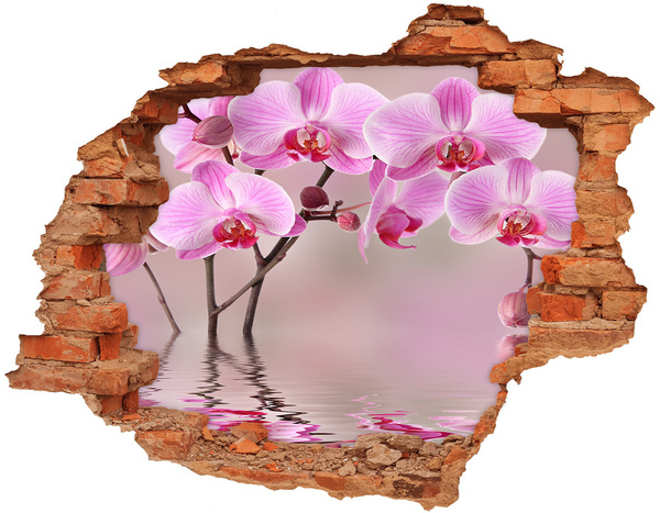 Diera 3D fototapeta nálepka Orchidea v rozbitej stene