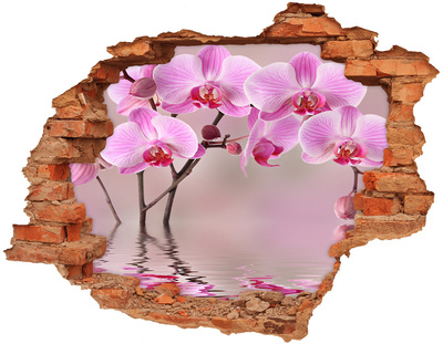 Diera 3D fototapeta nálepka Orchidea v rozbitej stene