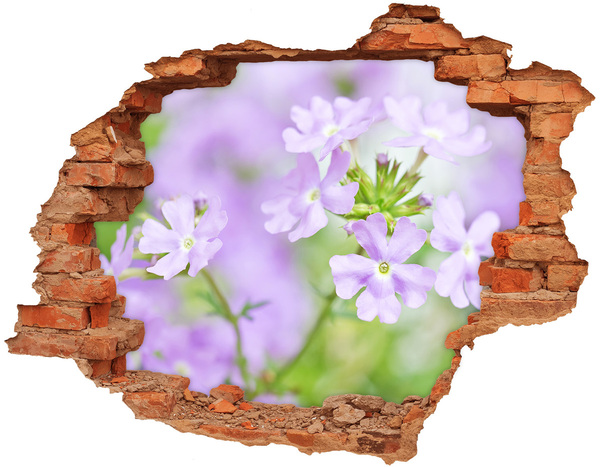 Samolepiaca nálepka Verbena