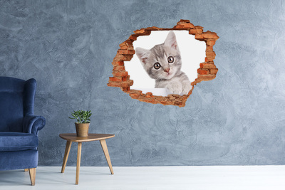 Samolepiaca nálepka na stenu Sivá mačka