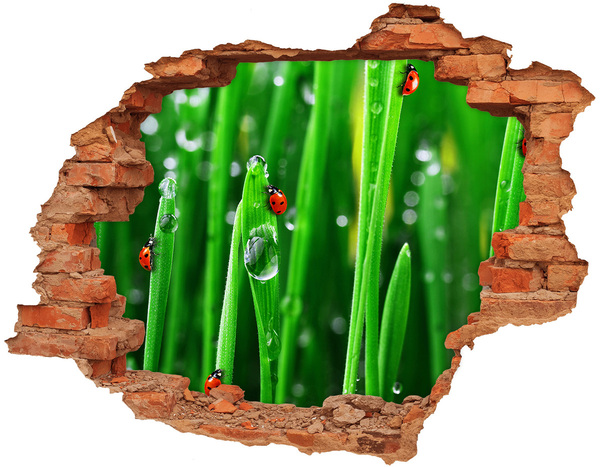 Fototapeta diera na stenu 3D Lienky na tráve