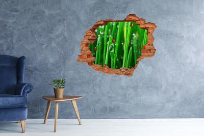 Fototapeta diera na stenu 3D Lienky na tráve