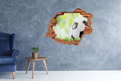 Fototapeta diera na stenu 3D Futbal