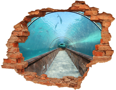 Diera 3D fototapeta nálepka Podvodný tunel v oceáne