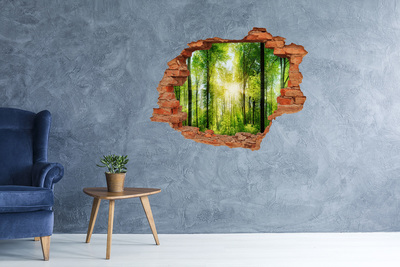 Diera 3D foto tapeta nálepka Forest na slnku