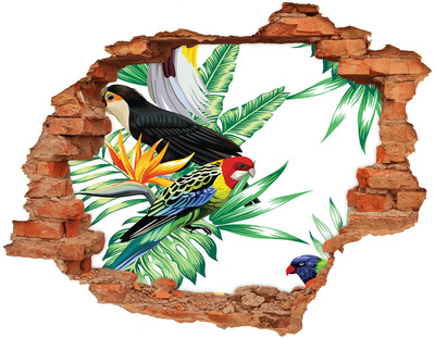 Diera 3D v stene nálepka Tropické vtáky