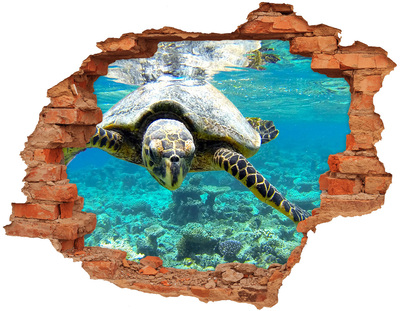 Diera 3D v stene na stenu Morská korytnačka