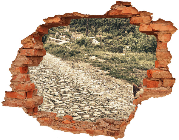 Diera 3D fototapeta nálepka Očarujúca vidiecka cesta