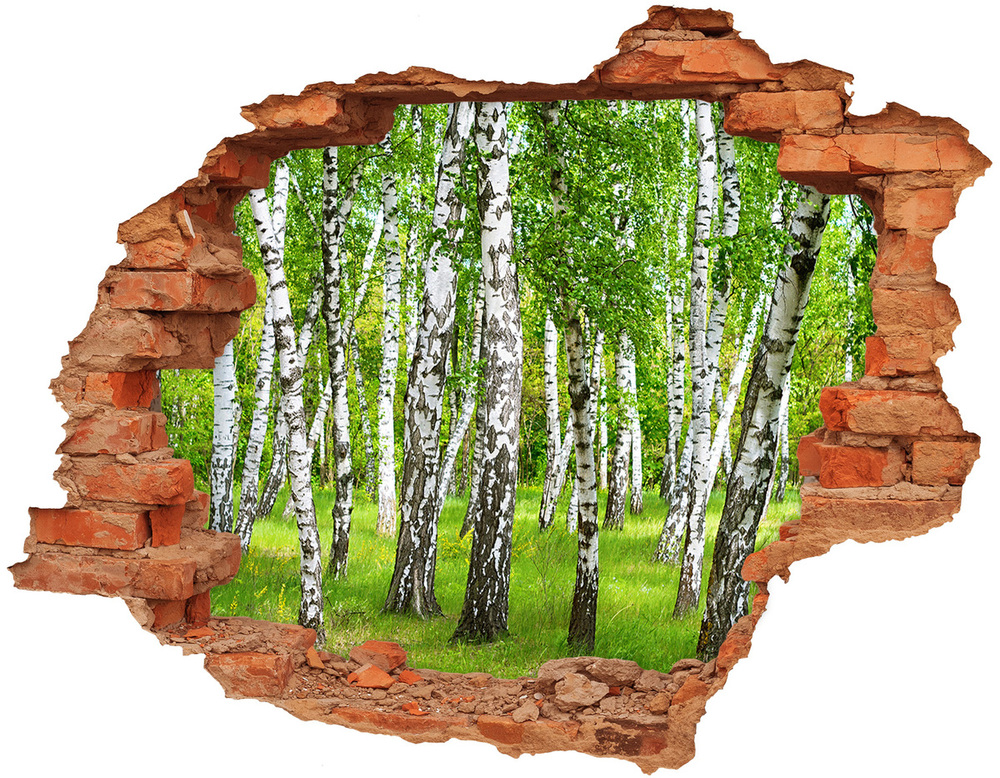 Fototapeta diera na stenu 3D Brezového lesa