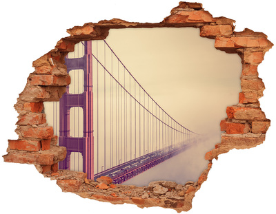 Fototapeta diera na stenu Bridge v san franciscu