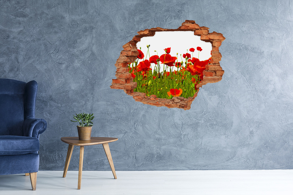 Fotoobraz diera na stenu nálepka Kvety maku