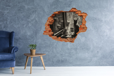 Fototapeta diera na stenu Mačky pri okne