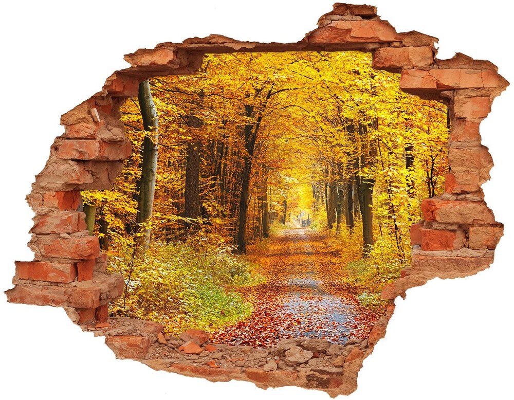 Diera 3D foto tapeta nálepka Les na jeseň