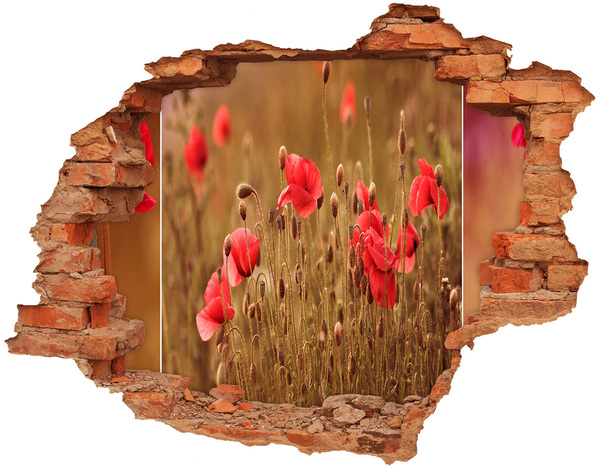 4D diera na stenu Poppies triptych