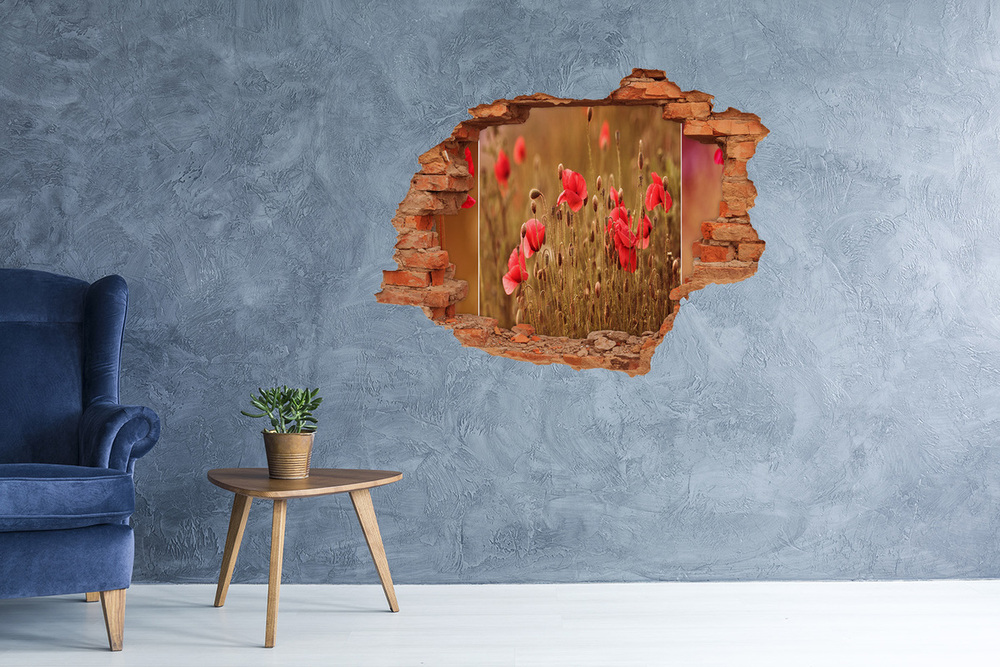 4D diera na stenu Poppies triptych
