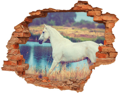 Nálepka 3D diera na stenu White horse lake