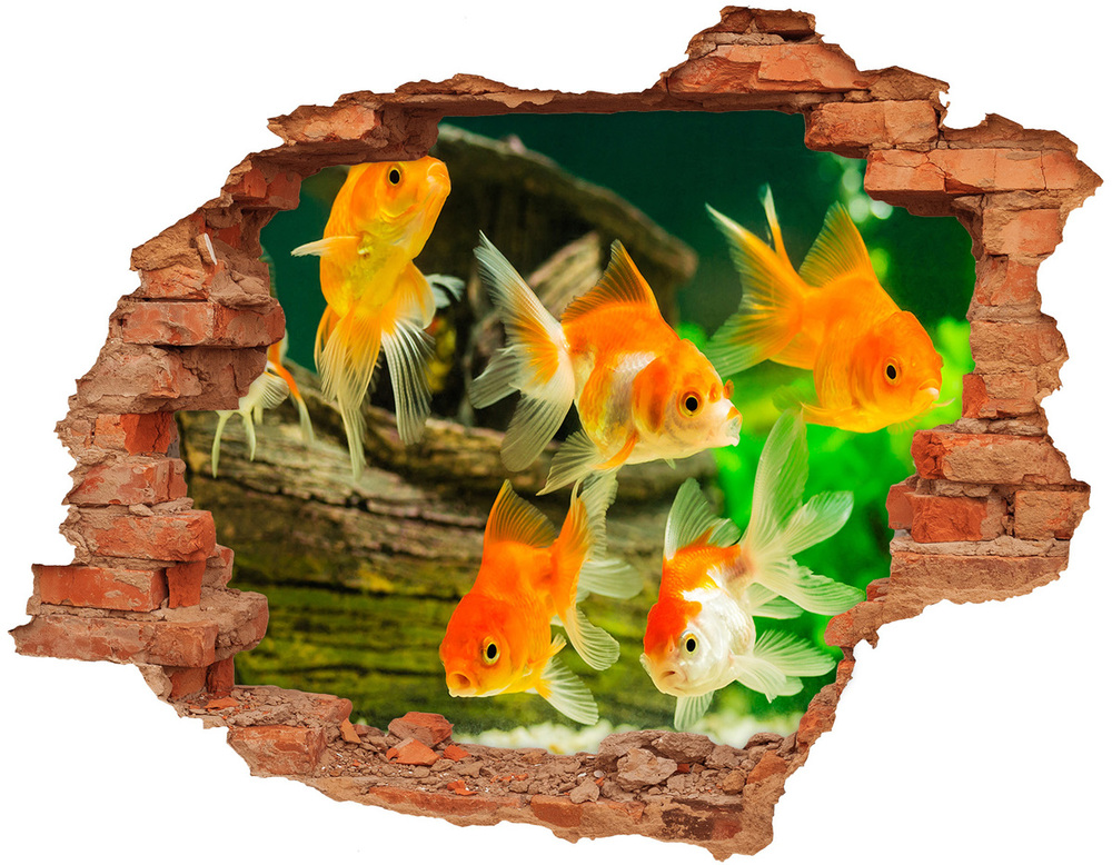 Diera 3D fototapeta nálepka Zlatá rybka