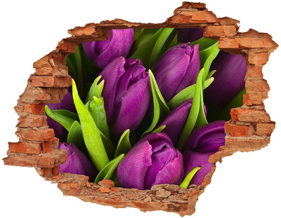 Fototapeta diera na stenu Fialové tulipány