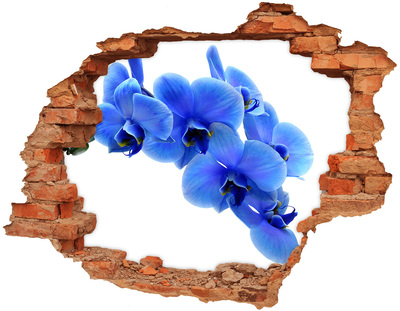 Diera 3D fototapeta nálepka Kvety orchideí v diere v stene